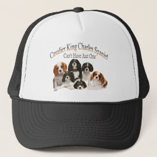 Boné O Spaniel de rei Charles descuidado não pode ter