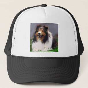 Boné Ofertas de arte Shetland Sheepdog
