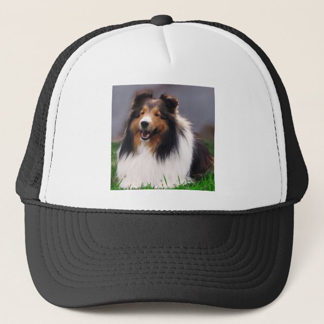Boné Ofertas de arte Shetland Sheepdog (Frente)