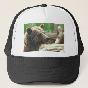 Boné Olhos animais da cara do urso adorável bonito da