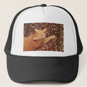 Boné Orange Tabby