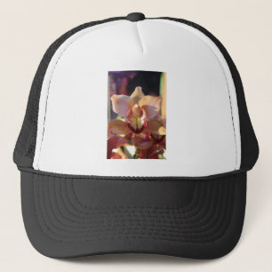 Boné Orquídea da manhã