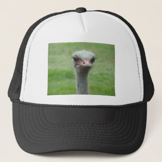 Boné Ostrich