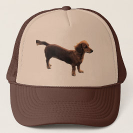 Boné Ouro Dachshund