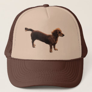 Boné Ouro Dachshund