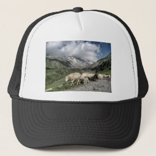 Boné paisagem de pirenéus