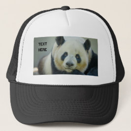 Boné Panda Fofo Olhando Nome do Texto Personalizado Imp