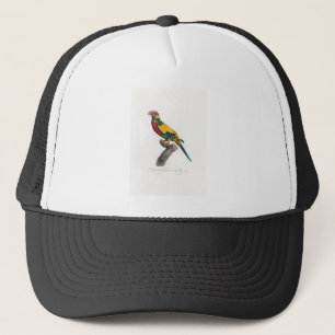 Boné papagaio-de-arara tropical