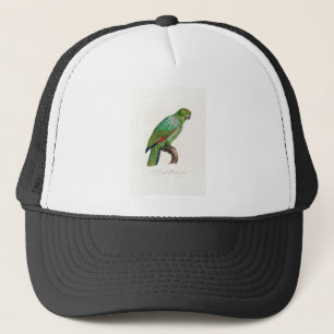 Boné papagaio-de-arara tropical