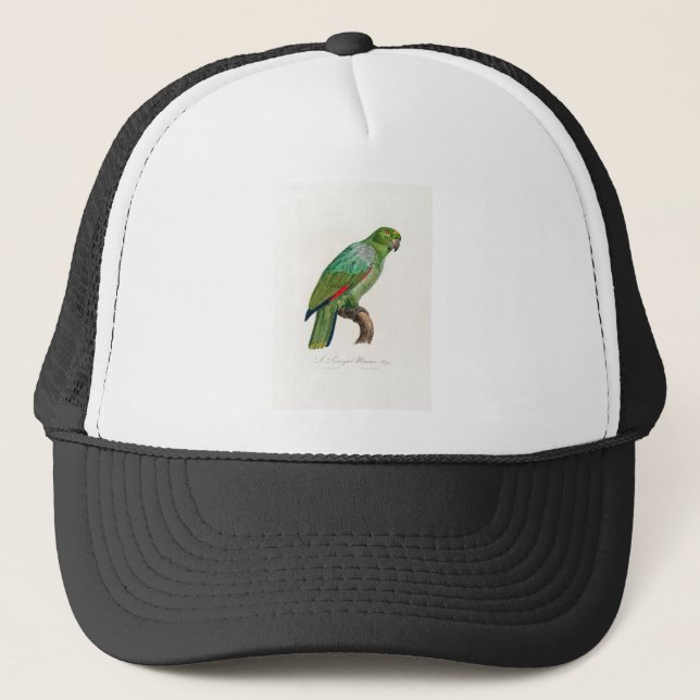 Boné papagaio-de-arara tropical (Frente)