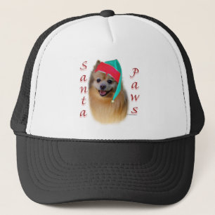 Boné Papais noeis Pomeranianos