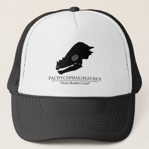 Boné Paquicefalossauro Crânio