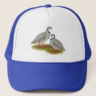 Boné Par do Chukar