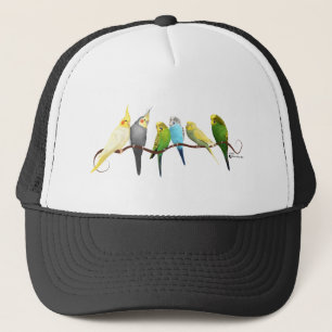 Boné Parakeets & Cockatiels!