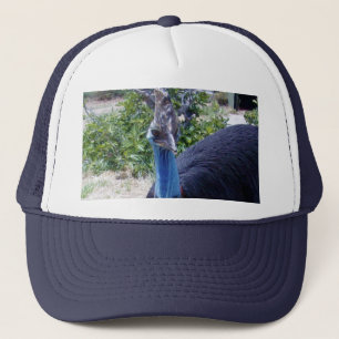 Boné Pássaro Cassovário Azul Grande, 