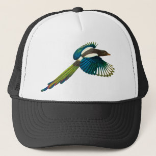 Boné Pássaro colorido do Magpie, ilustração do vinta