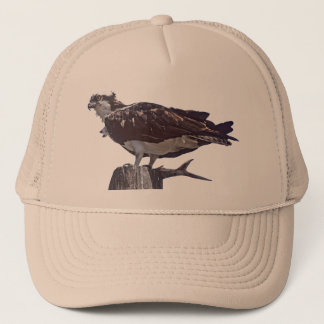 Boné Pássaro do Osprey