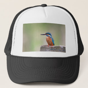 Boné Pássaro Kingfisher.