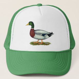 Boné Pato Drake do pato selvagem