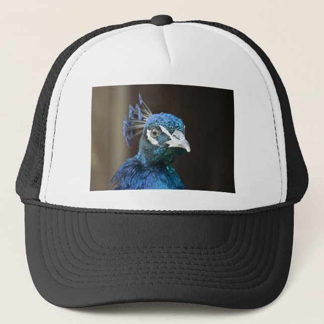 Boné pavão (Frente)