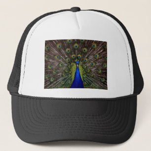 Boné Peacock
