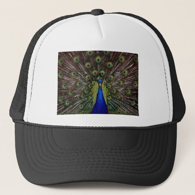 Boné Peacock (Frente)