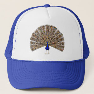 Boné Peacock Blue Hat