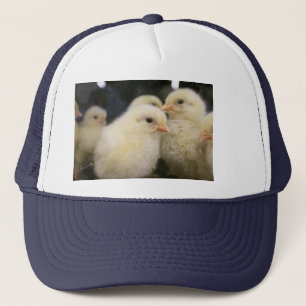 Boné Peeps