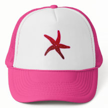 Peixe de Starfish do Mar Tropical