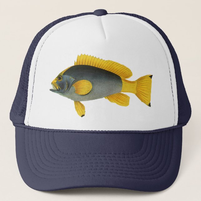 Boné Peixe Garoupa Azul e Amarelo, Vida Marinha Antiga (Frente)