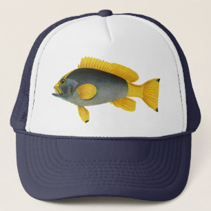 Boné Peixe garoupa azul e amarelo, vida marinha vintage