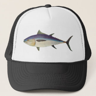 Boné Peixes - atum de Bluefin do sul - maccoyii do