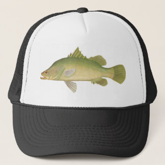 Boné Peixes - Barramundi - Calcarífero tardio