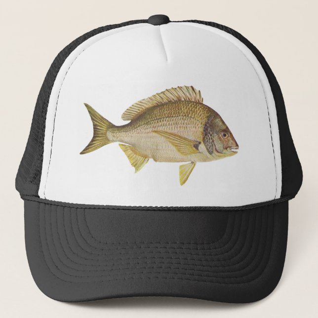 Boné Peixes - brema preta - Mylio australásio (Frente)