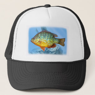 Boné peixes do bluegill
