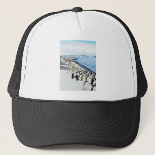 Boné Pengiuns na praia