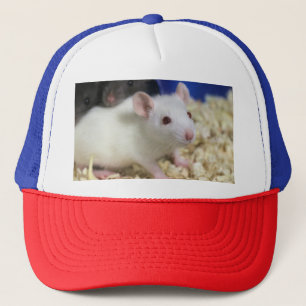 Boné Pequeno rato