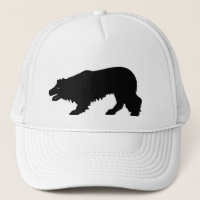 Personalize seu chapéu de border collie!!