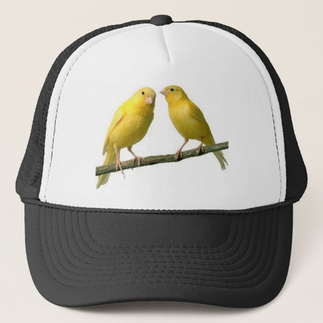 Boné Pet Canary Bird Merchandise (Frente)