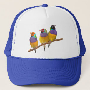 Boné Picos Coloridos Gouldian em Pastéis
