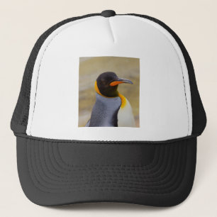 Boné Pinguim de imperador