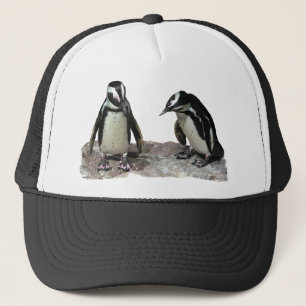 Boné Pinguins
