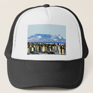 Boné Pinguins imperadores