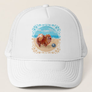 Boné Pomeraniana no mar