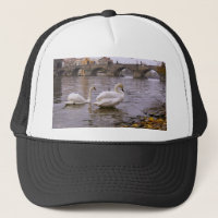 Ponte Swans e Charles em Praga