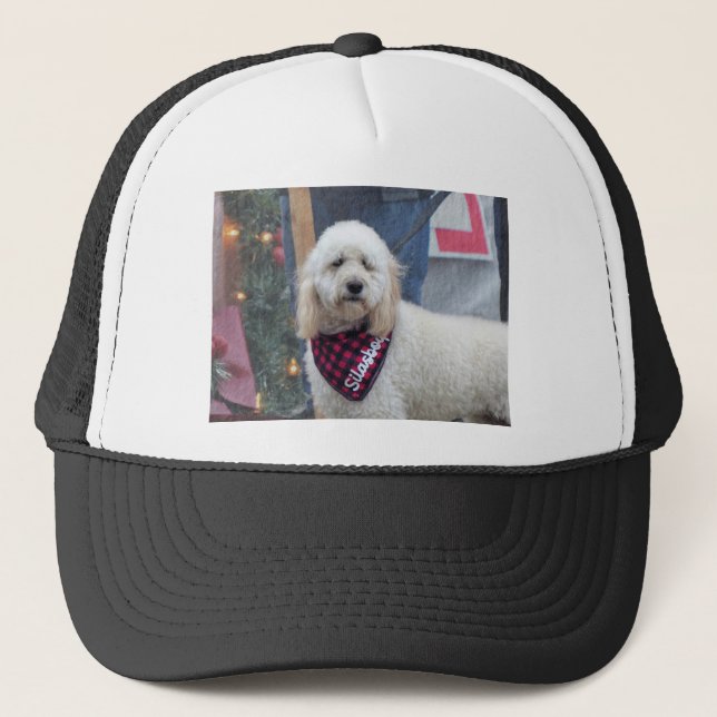Boné Poodle (Frente)