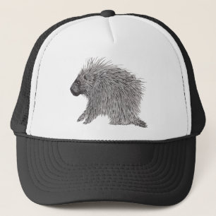 Boné Porcupine