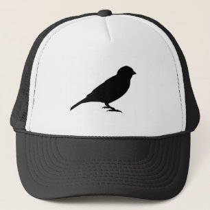 BONÉ POUCO BIRDY