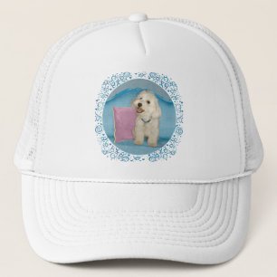 Boné Pouco Havanese no sofá de turquesa