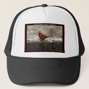 Boné Presentes Cardinal Hot Springs Nat. Park Mountain
